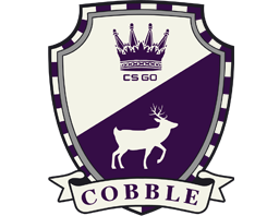 The Cobblestone Collection — Counter-Strike collection emblem